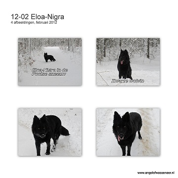 Eloa-Nigra in de Poolse sneeuw
